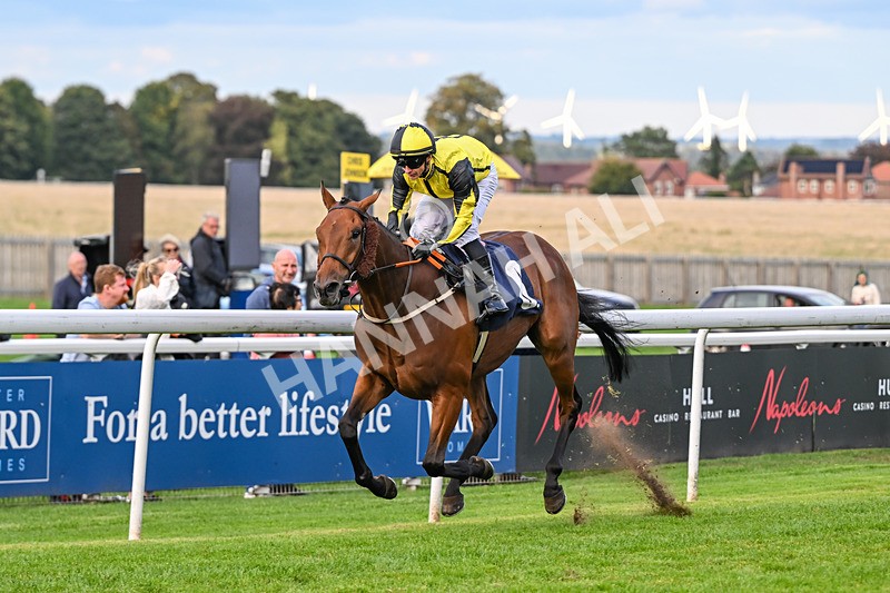 160926-Race 8-Evelyns Phoenix-2205 - Race 8 5.50pm Hurn Handicap (Div II)