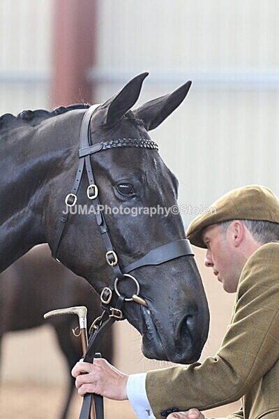 SIAL9352 - Indoor Classes