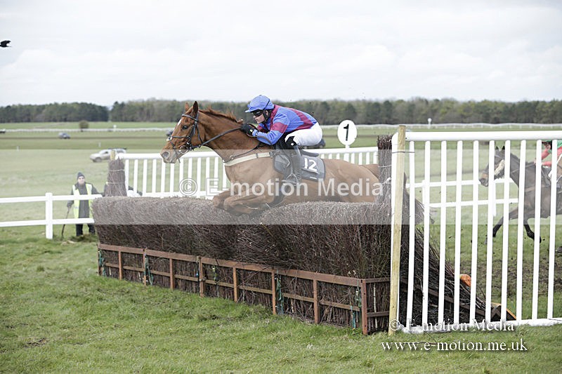 PtP 150320 0669 - New Forest Point-to-Point Larkhill 15/03/20