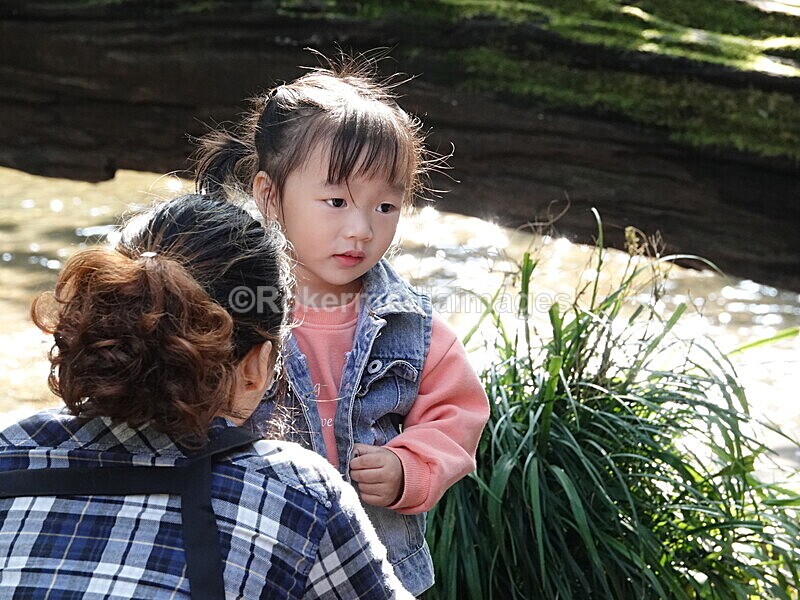 CHINA__0242 - China 2019