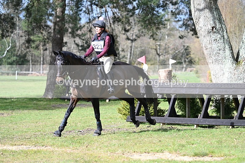 WJ7_3196 - Time 15:41 to 15:52