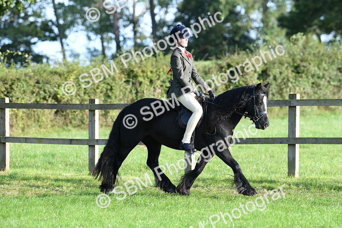 SBM_54014 - S23 - 1st Ridden Mountain & Moorland Pony