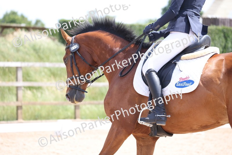 20250614-0894 - Class 5 - Novice 3