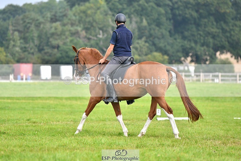 230817-091415-02506 - Abbie's 1st Group - Dressage