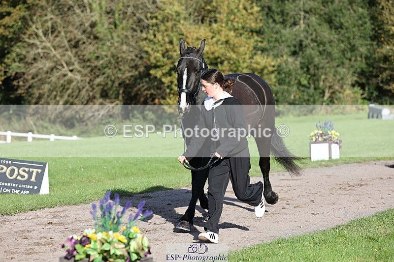 241027-095951-15628 - 452-Eleanor.Blewitt-CARRY.ON.PRINCESS