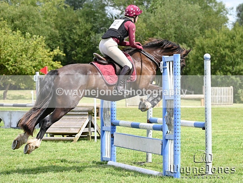 WJ6_9577 - Edited examples