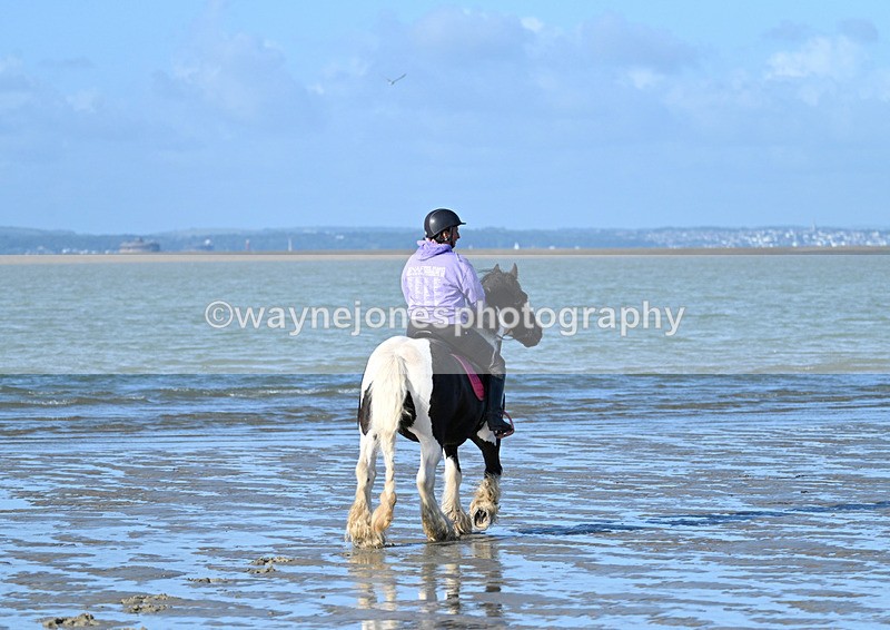 WJ7_2723 - Kellie & Churchill ... do Hayling Island 25-08-24
