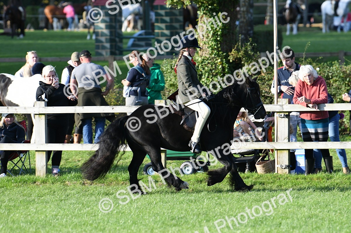 SBM_54086 - S23 - 1st Ridden Mountain & Moorland Pony