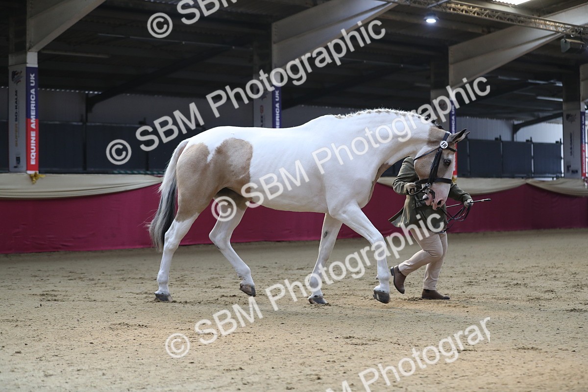 SBM_01288 - Class 3a Area IH Pre Vet