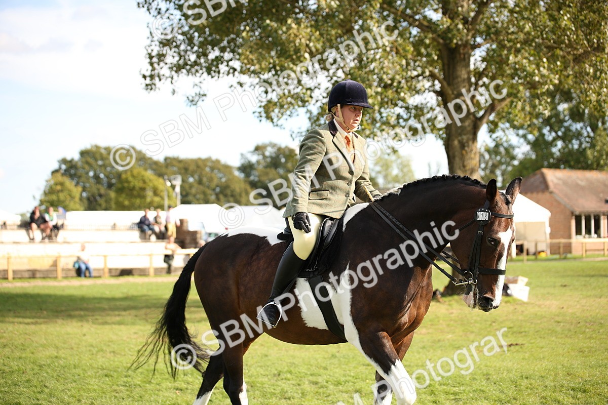 SBM_50178 - S26 - Young Veteran - Ridden