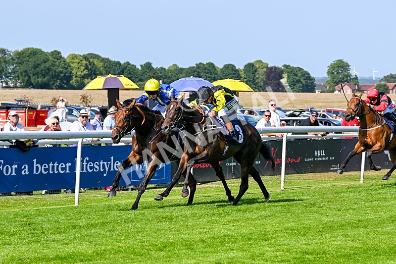 230626-Race 6-Sahm Naif-1827 - Race 6 16.52pm Racing TV Extra On racingtv.com Handicap