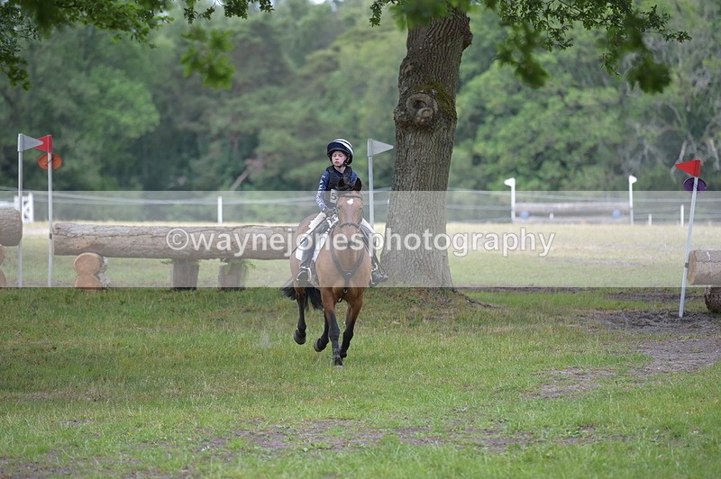 NGP_9165 - Time 12:34 to 12:37