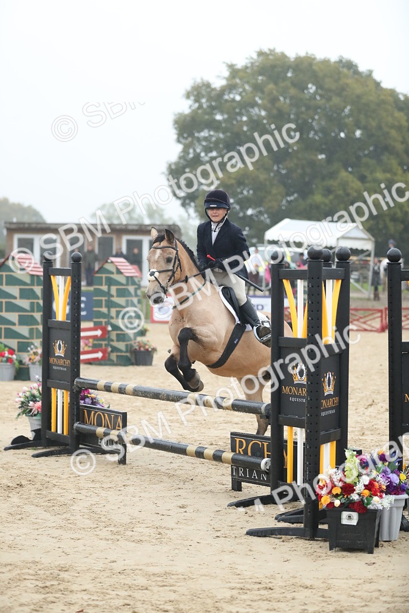 SBM_74197 - Supreme championship Junior Pony 70cm 75cm
