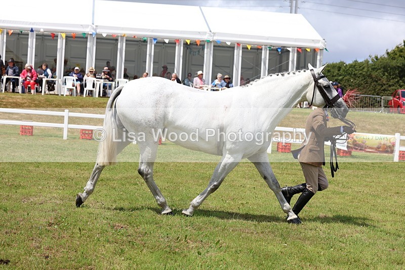 3E7A1636 - Class 9: Open Hunter