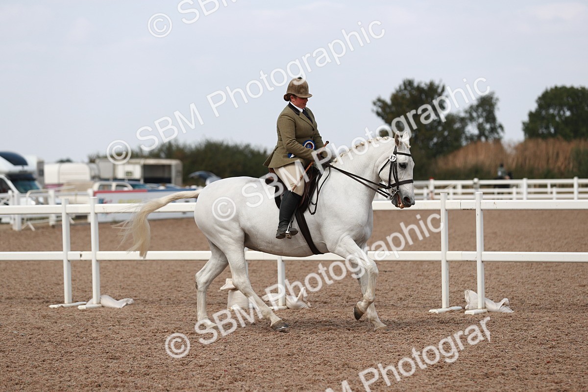 SBM_14935 - Class 212 Ridden Hunter - Small