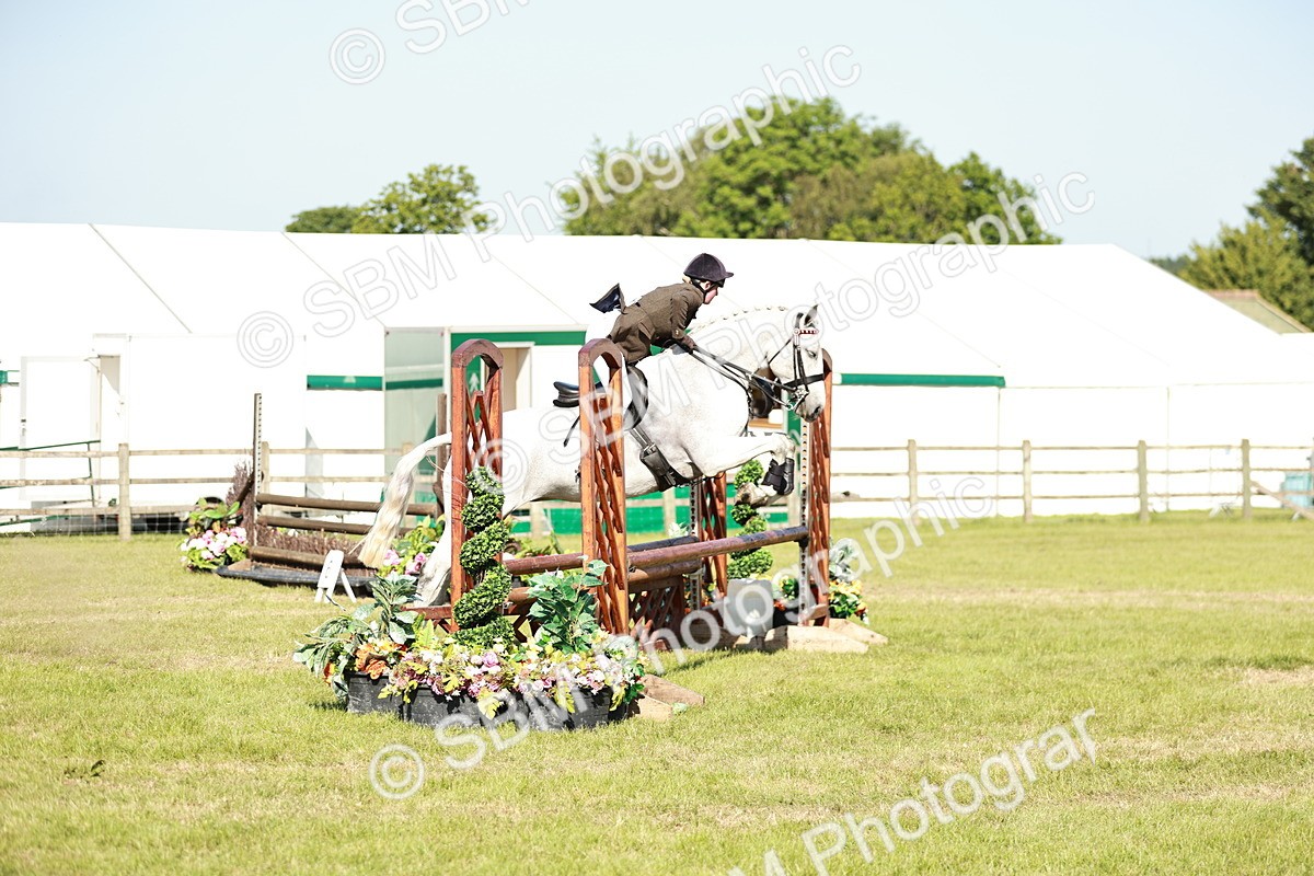 SBM_19172 - Class 115-116 - LIHS BSHA Rising Star Working Hunter & Show Horse