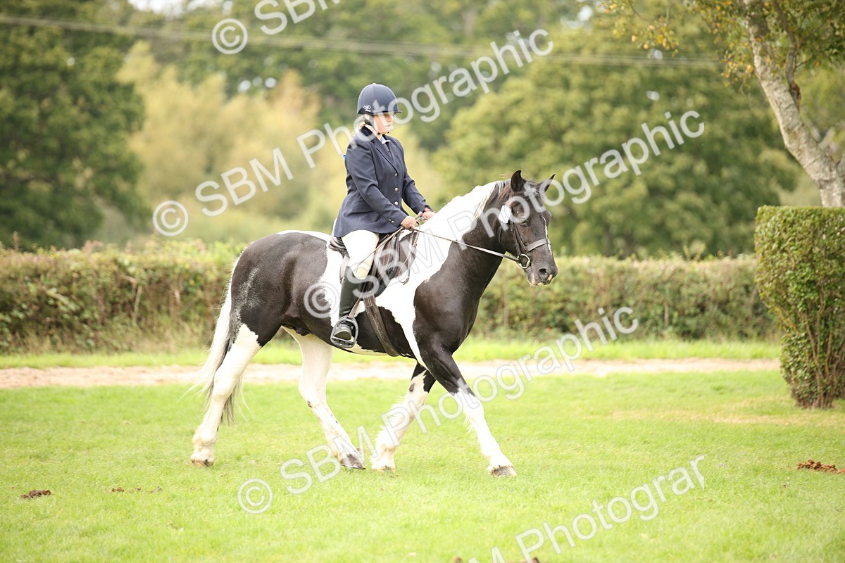 SBM_72366 - S67 - Show Cob Ridden