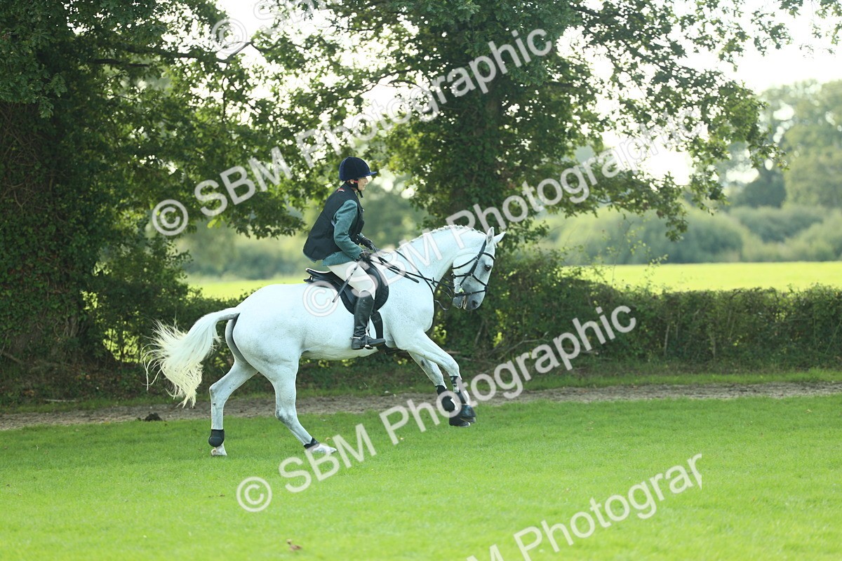 SBM_50573 - S33 - Working Hunter & Working Show Horse