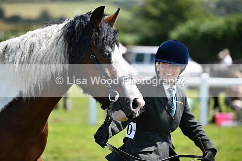 DSC_7657 - Class 64: Coloured Pony 4yrs & over