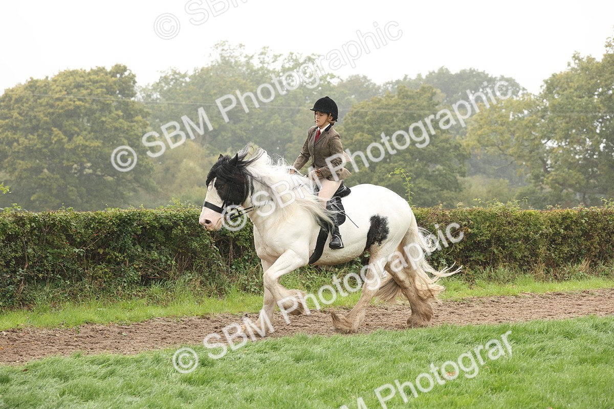 SBM_72739 - S70 - Traditional Cob Ridden