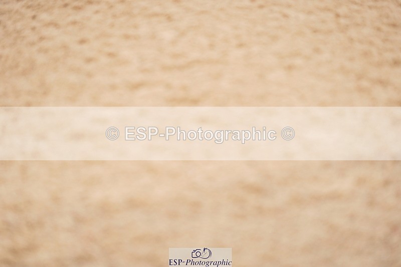 240317A-162644-07930 - Cls 29 Snr Foxhunter