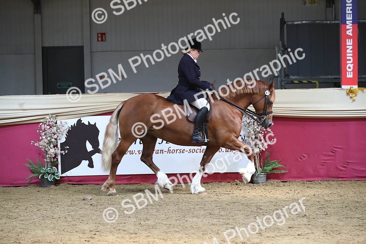 SBM_16277 - Class 502 M&M Ridden Supreme Final