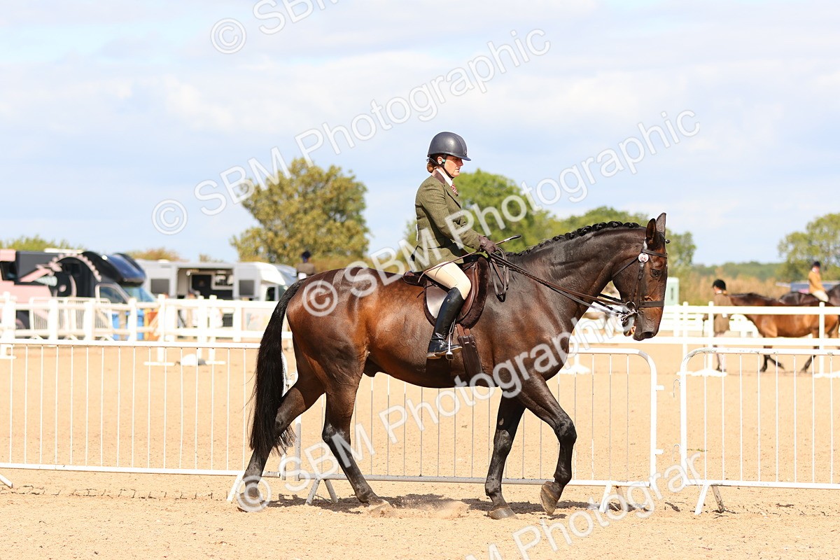 SBM_13436 - Class 212 - Ridden Hunter  - Large