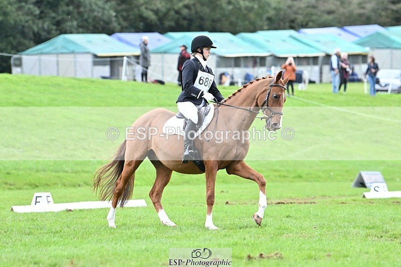 231020-152949-11493 - 686-MOORLAND.MAGIC-Charlotte.Chard-DR