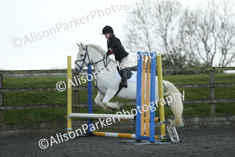 20260412-1922 - Show Jumping