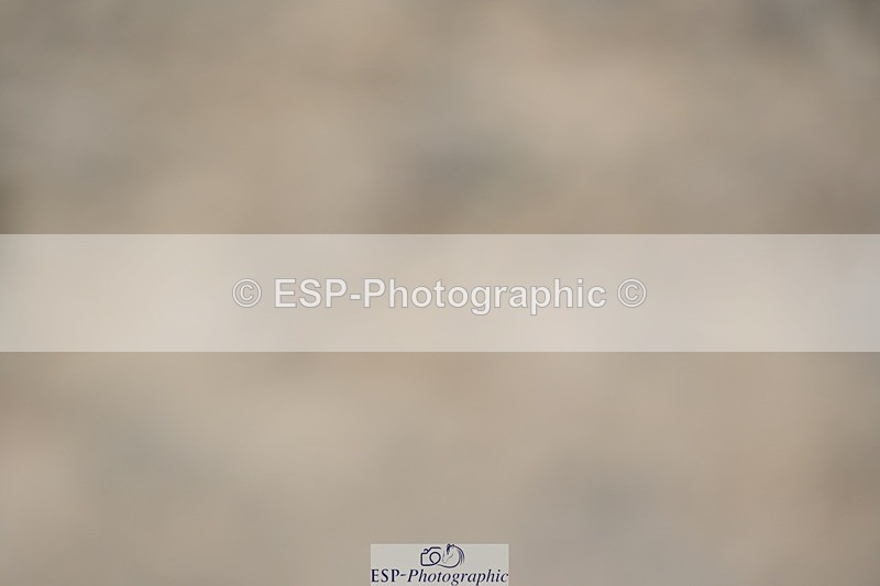 230813-113507-06648 - Cls 12 Elem Silver 10.35 to End