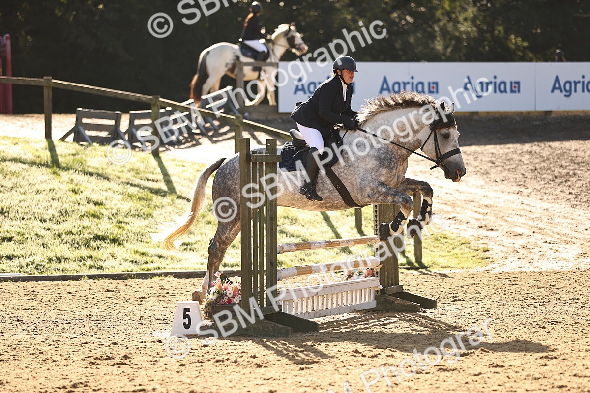 SBM_35156 - J38 - Senior 80cm Championship