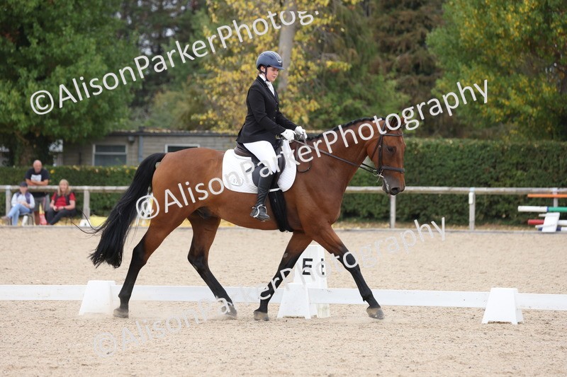 20250819-1282 - Class 4 - Novice 2