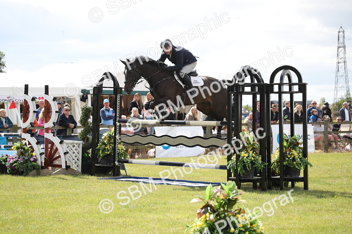 SBM_17527 - Class 208 - Senior Foxhunter 1.20m Open