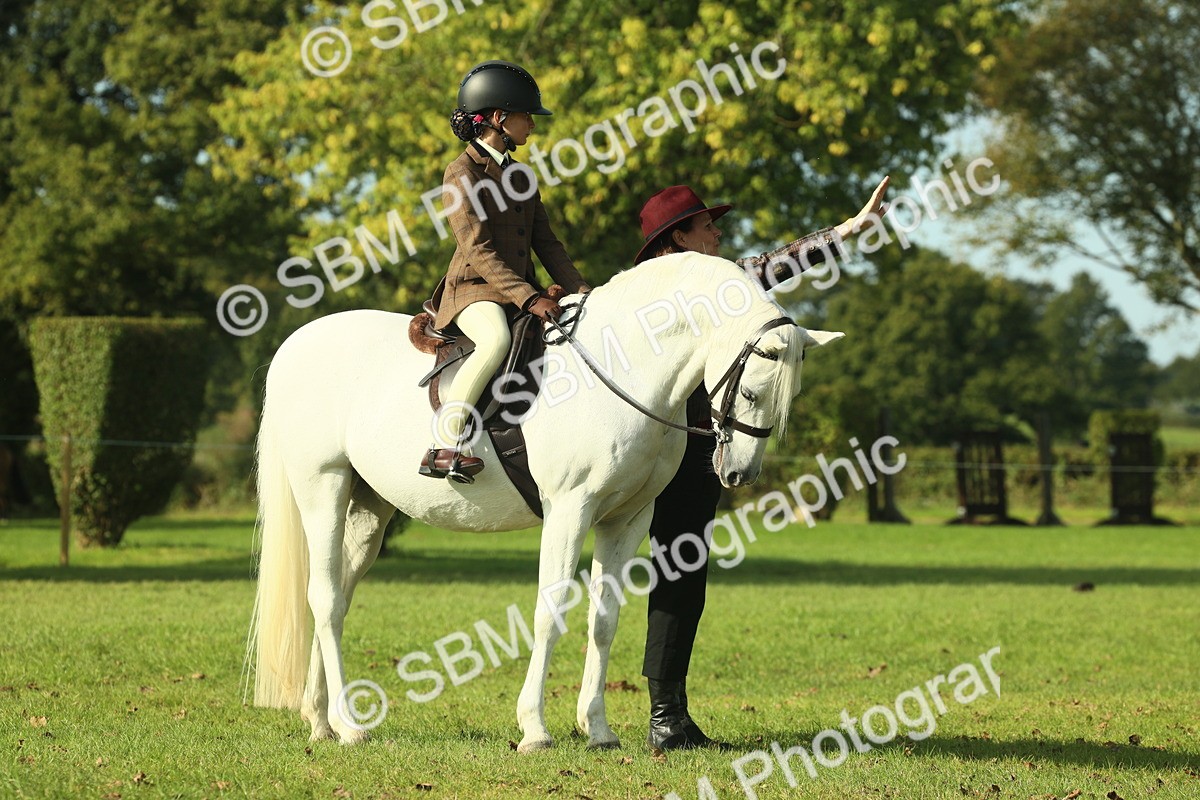 SBM_59876 - S38 - Starters Ridden Showing