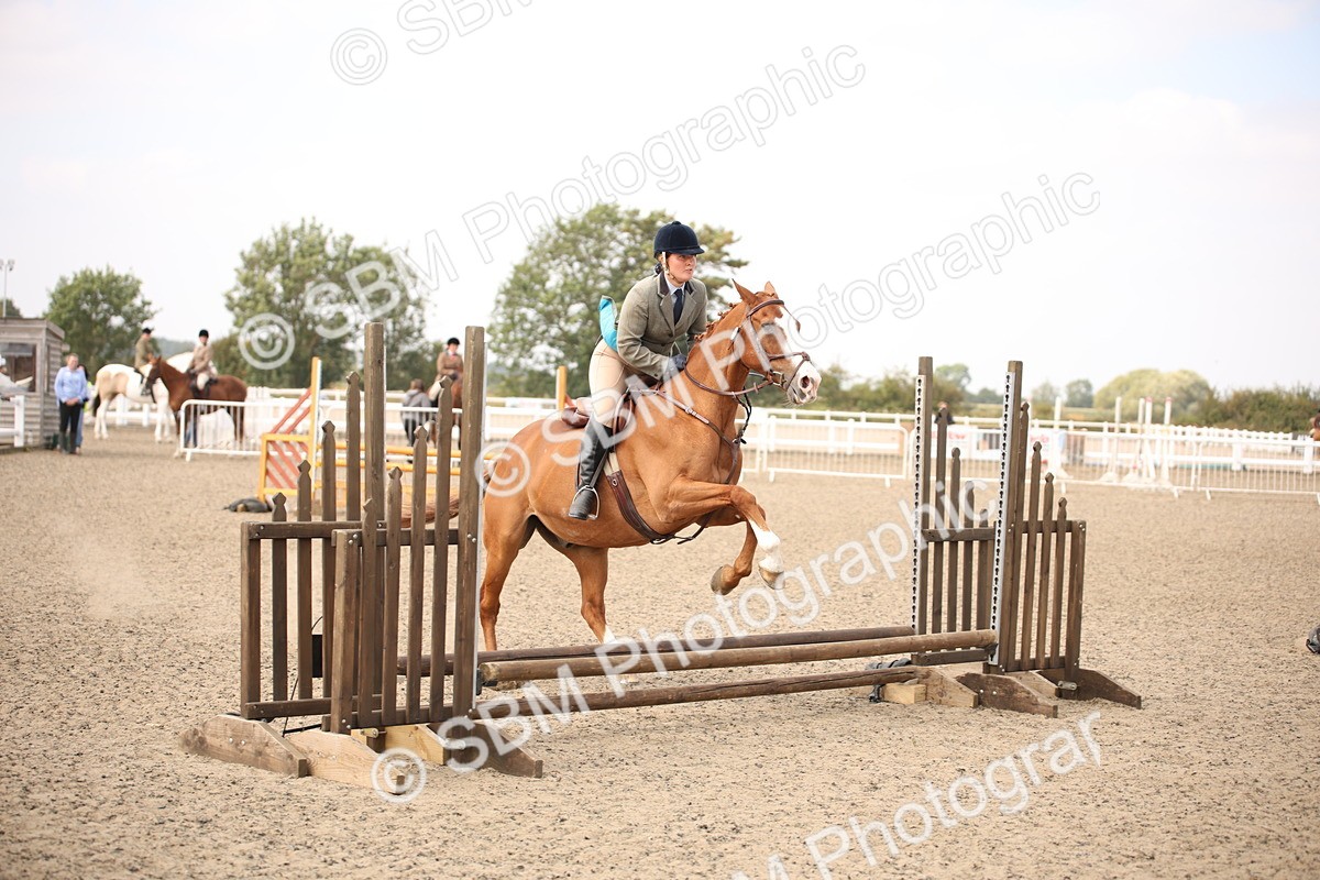 SBM_13583 - Class 406b - Working Veteran 50cm (20+)