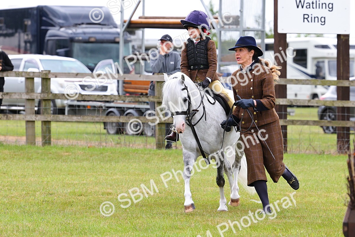 SBM_08257 - Class 42-43 - LIHS BSPS Heritage Working Sports Pony