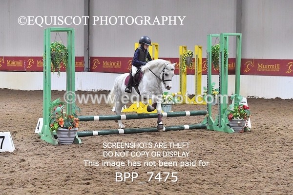 BPP_7475 - 40CM WORKING HUNTER