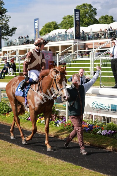 yr21052022r7-45 - Race 7: 5:15pm Reg Bond Always and Forever Stakes