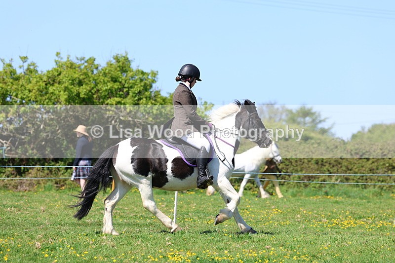 3E7A0050 - Class 4: Best Combination Junior