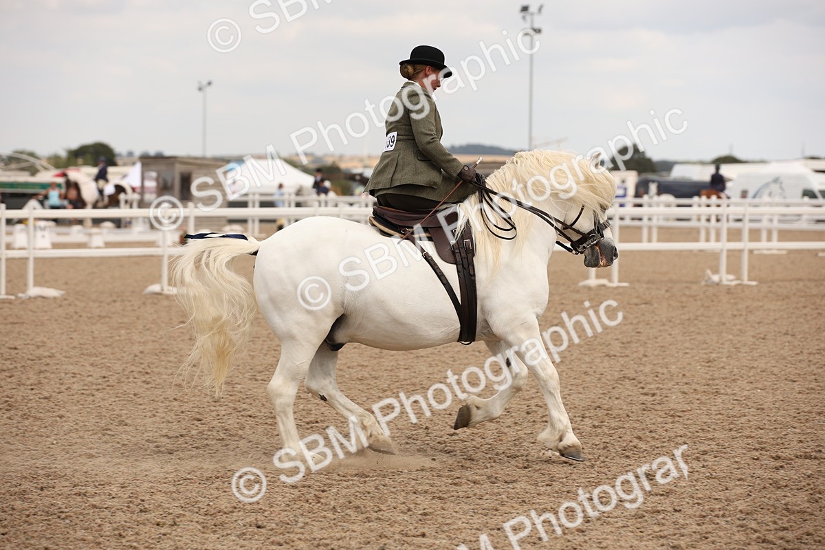 SBM_05405 - Class 22 SSA Equitation