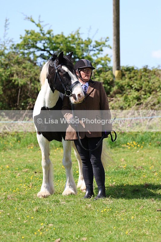 3E7A0352 - Class 19: Best Coloured in Hand