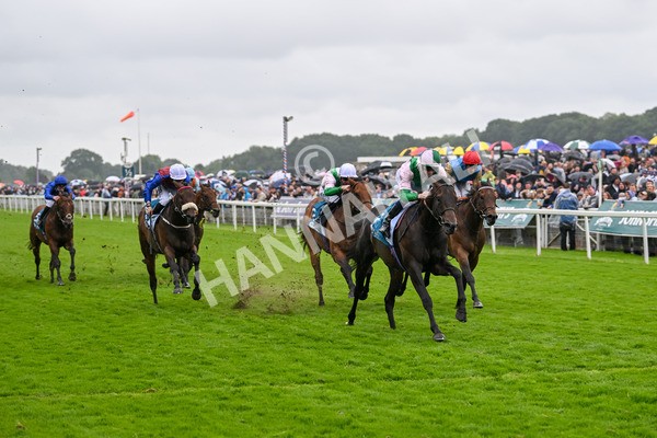 130724-Race 2-Starlust-7079 - Race 2 2.35pm John Smith's City Walls Stakes