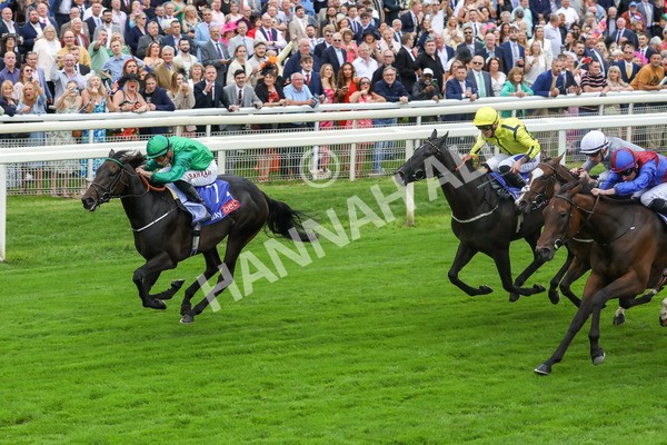 240823-Race 1-Relief Rally-5026 - Race 1 1.50pm Sky Bet Lowther Stakes