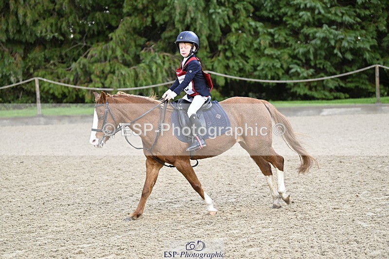 251005A-090820-02958 - Cls 02 GR 50cm