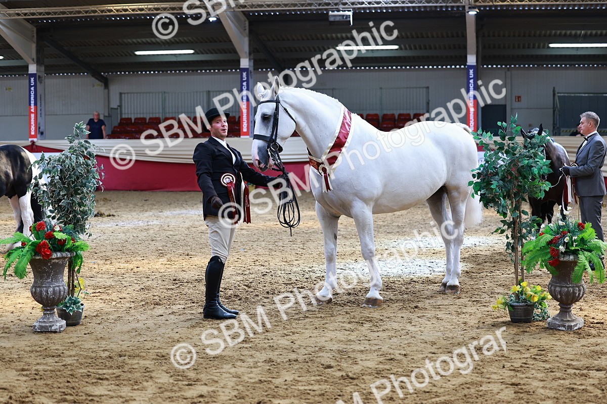 SBM_23295 - Class 903 - Supreme Final - IH Pre Vet