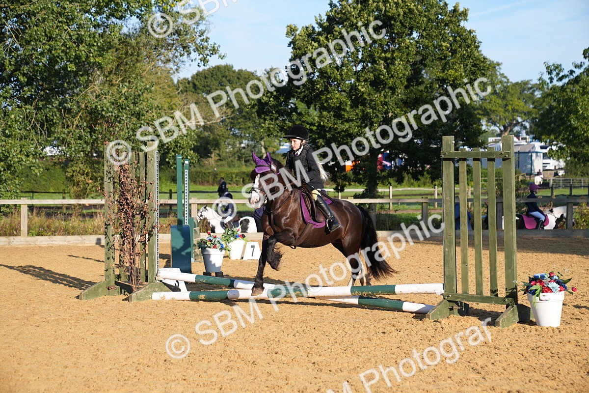 SBM_58985 - J63 - Minis Clear Round 30cm 40cm