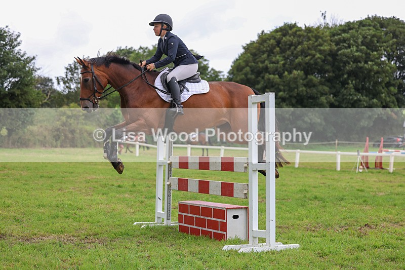 3E7A8206 - Class 7: Senior Newcomers/1.10m open