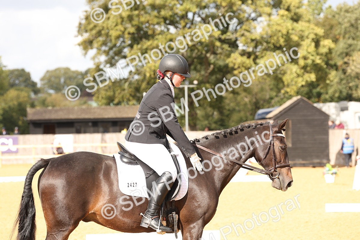 SBM_24671 - D17 - Grand Tour Championship Novice 3