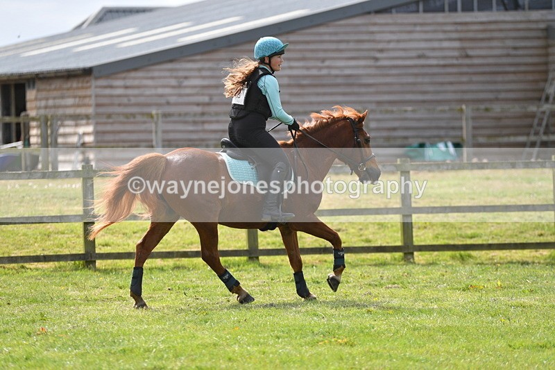 WJ5_2625 - Class 2 40cm