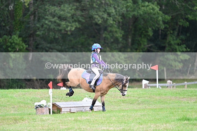 WJ7_7176 - 40cm Time 10:06 to 10:24